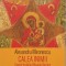 Alexandru Mironescu, Calea Inimii. Eseuri in Duhul Rugului Aprins, Ed. Humanitas, 2019 (plus semn de carte)