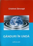 Ganduri in unda - Cristinel Zanoaga - Filosofie, Editura PIM, 2011, 463 pagini