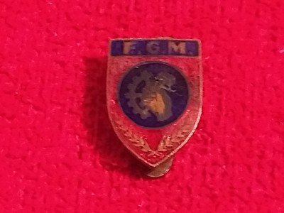 Insigna cu talpa (interbelica) - F.G.M. - Federatia Generala a Meseriasilor foto