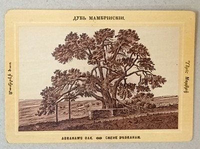 STEJARUL LUI ABRAHAM , LITOGRAFIE , FORMAT CARTE POSTALA , CCA . 1900 foto