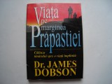 Viata pe marginea prapastiei - James Dobson, 1999, Alta editura