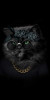 Husa Personalizata SAMSUNG Galaxy S9 Hippy cat
