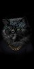 Husa Personalizata APPLE iPhone 6\6S Plus Hippy cat