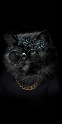 Husa Personalizata APPLE iPhone 6\6S Plus Hippy cat foto