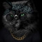 Husa Personalizata SAMSUNG Galaxy S9 Hippy cat