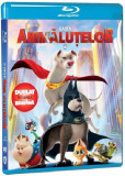 Gasca Animalutelor DC / DC League of Super-Pets (Blu-ray Disc) | Jared Stern, Sam J. Levine