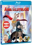 Gasca Animalutelor DC / DC League of Super-Pets (Blu-ray Disc) | Jared Stern, Sam J. Levine