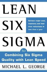 Lean Six SIGMA foto