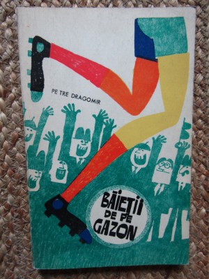 Petre Dragomir - Baietii de pe gazon CU DEDICATIE SI AUTOGRAF foto