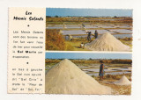 FA35-Carte Postala- FRANTA - Presqu&#039;ile gueradaise, Recolte du sel, necirculata, Fotografie