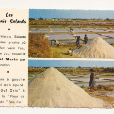 FA35-Carte Postala- FRANTA - Presqu'ile gueradaise, Recolte du sel, necirculata