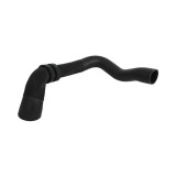 Furtun Aer Supraalimentare 480529 115874