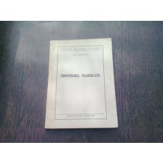 COMPENSARE TRIANGULATIEI - LORINCZI IULIU