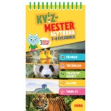 Kv&iacute;zmester - Agytorna 7-8 &eacute;veseknek - homok&oacute;r&aacute;val