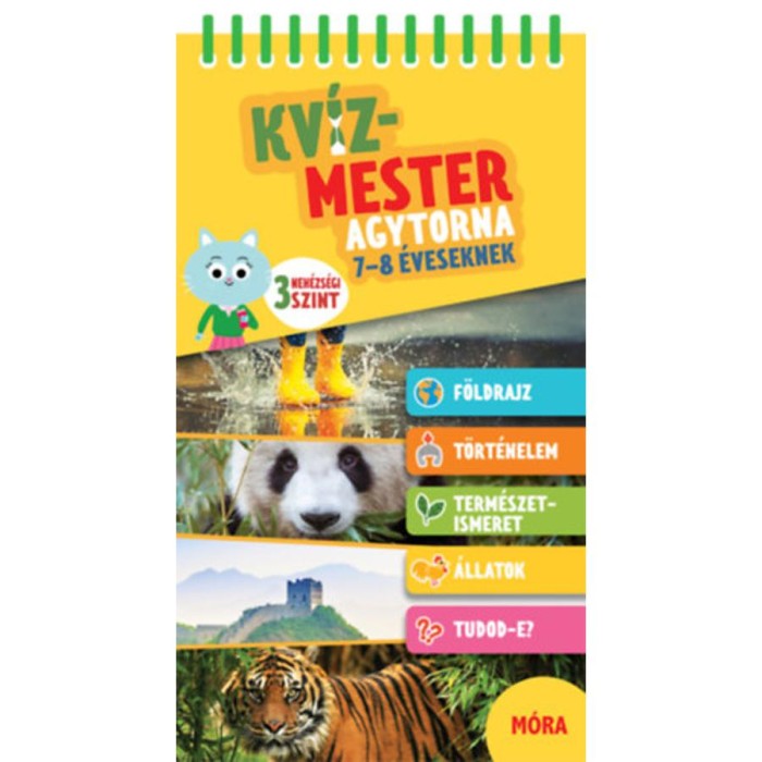 Kv&iacute;zmester - Agytorna 7-8 &eacute;veseknek - homok&oacute;r&aacute;val