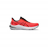 Cumpara ieftin GT-2000 12, Asics