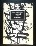 Ioana Crăciunescu - Caietul cu adnotări (1988)