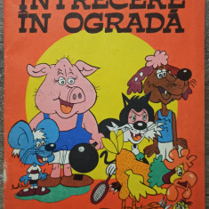 Intrecere in ograda - Adrian Andronic// 1980