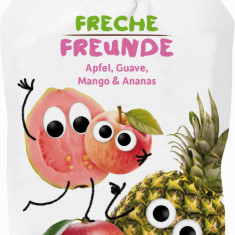 Piure de mere, guava, mango si ananas eco 100g Erdbar