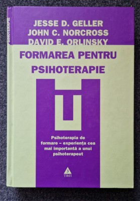 FORMAREA PENTRU PSIHOTERAPIE - Geller, Norcross, Orlinsky foto