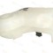 Vas de expansiune, racire AUDI A6 Avant (4B5, C5) (1997 - 2005) THERMOTEC DBA006TT