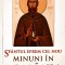 SFANTUL EFREM CEL NOU - MINUNI IN ROMANIA VOL.2-L.S. DESARTOVICI-227772