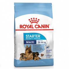 Hrana uscata pentru cani, Royal Pet Canin Starter MotherBabydog, 195 g foto