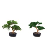 Set 2 Bonsai artificiali in ghiveci 15 x 11 x 26 cm
