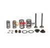 Set complet supape GY6 50 - 60 - 80