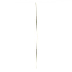 Suport Plante, Bambus, &Icirc;nălțime 120 cm, Grosime 8 mm