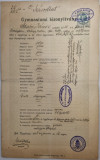 Certificat de gimnaziu Baia Mare gymnasiumi bizonyitvany in lb maghiara 1898