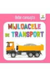 Mijloace de transport - Bebe cunoaste