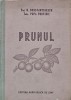 Prunul, N. Constantinescu Popa Porfire, 1956, Agro-Silvica de Stat, 230 pagini, Coperta Cartonata, Zootehnie