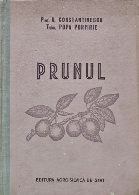 Prunul (H248) foto