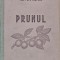 Prunul (H248)