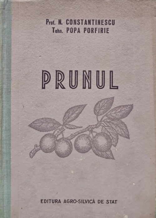 Prunul (H248)