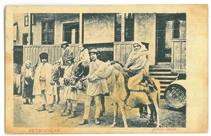 5161 - PETROSANI, Hunedoara, ETHNIC, Romania - old postcard - used - 1903
