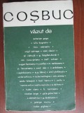 Cosbuc vazut de: