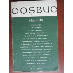 Cosbuc vazut de: