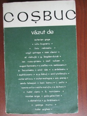 Cosbuc vazut de: foto