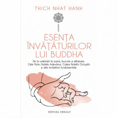 Esenta invataturilor lui Buddha, Thich Nhat Hanh