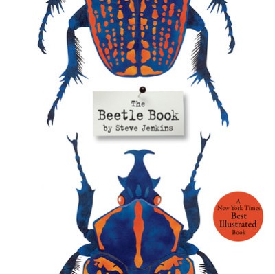 The Beetle Book foto