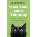 What Your Cat Is Thinking