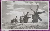 Carte postala, Romania, Basarabia, camp cu mori de vant, perioada interbelica