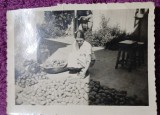 Fotografie, Tanara la sortat cartofi, perioada interbelica