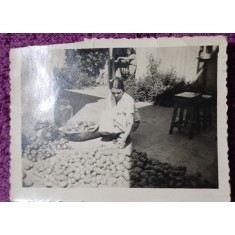Fotografie, Tanara la sortat cartofi, perioada interbelica