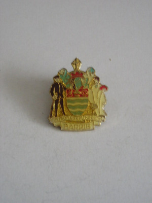QW9 N8 27 - insigna - tematica urbanistica - The people are the city - Barrie foto