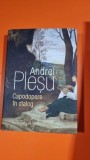Capodopere in dialog - Andrei Plesu
