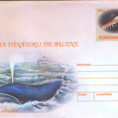 Intreg pos plic nec 2003 - Istoria vanatorii de balene - Balena albastra