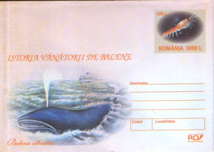 Intreg pos plic nec 2003 - Istoria vanatorii de balene - Balena albastra
